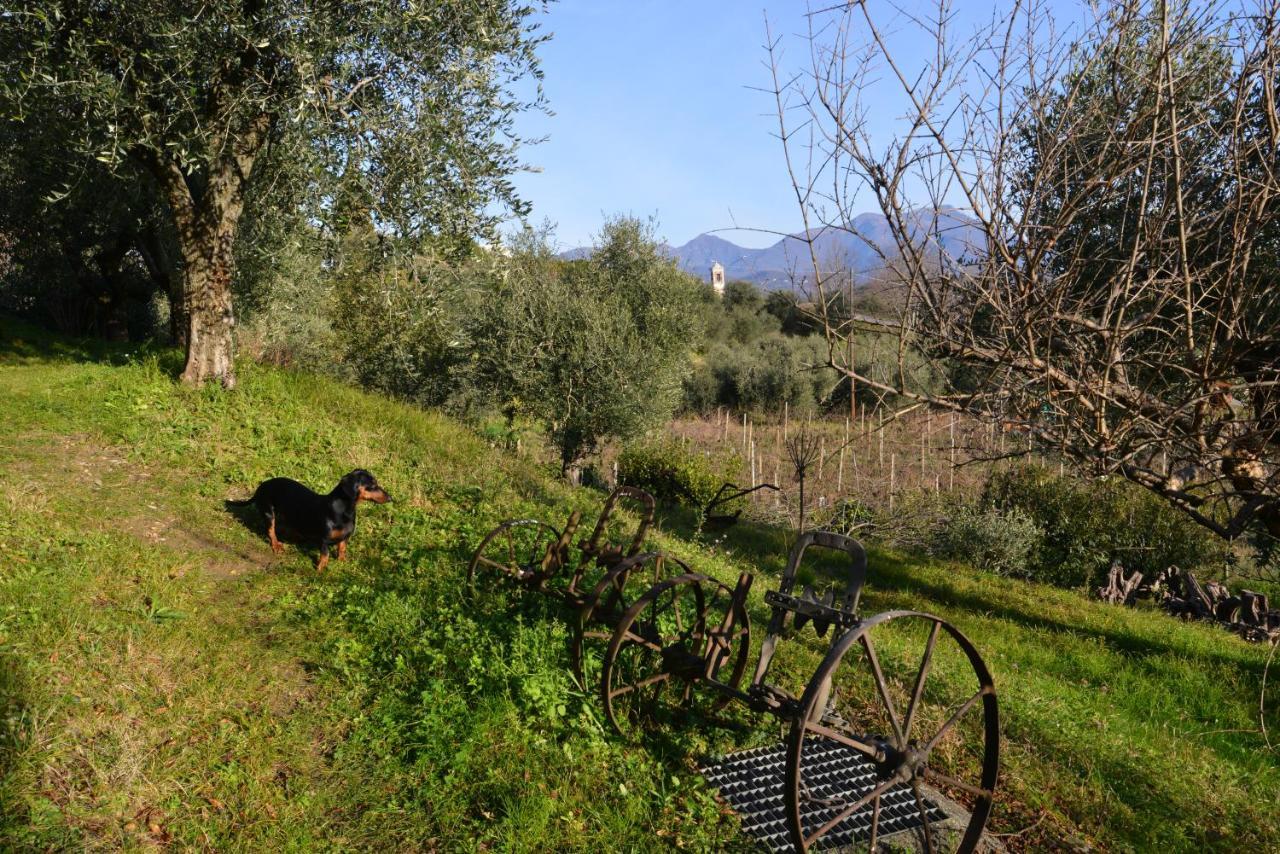 Antiche Mura Casa Vacanze Puegnago del Garda Exterior photo